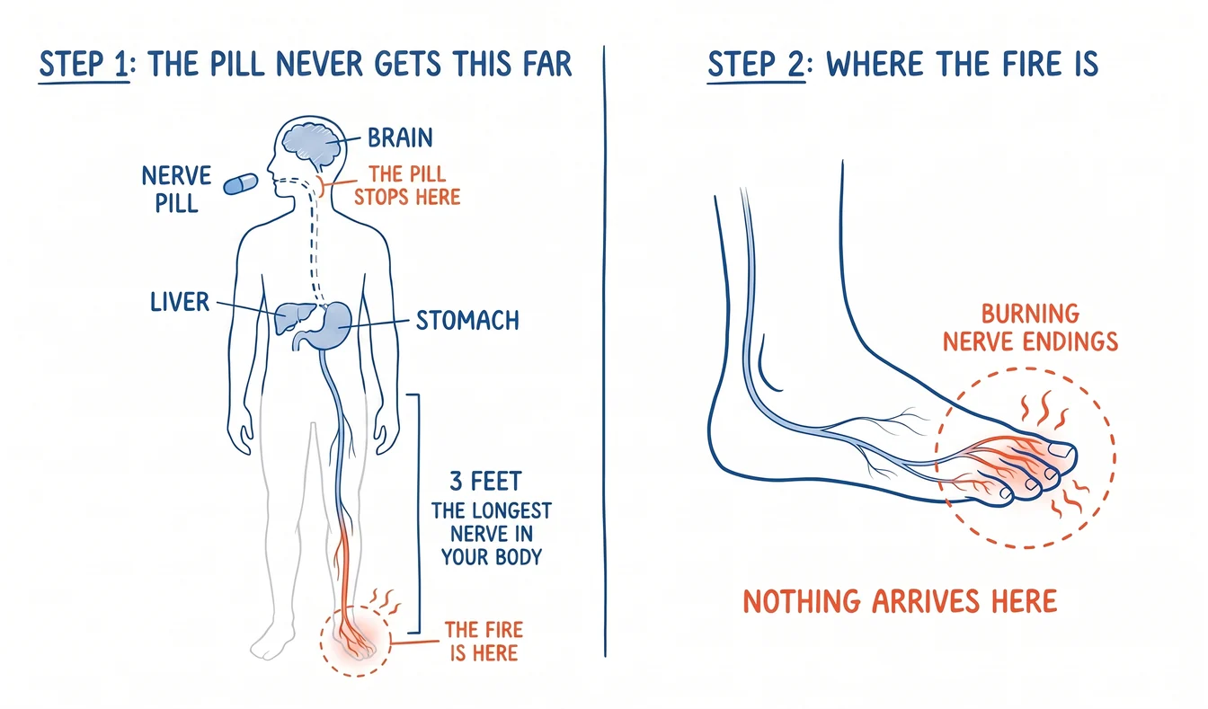 Where the pill stops and where the fire is: the nerve pill reaches the brain, liver and stomach, while the longest nerve in your body runs three feet from the spine to the burning toes